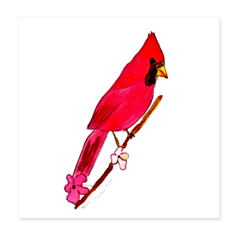 Cardinal 8x8 Print - white