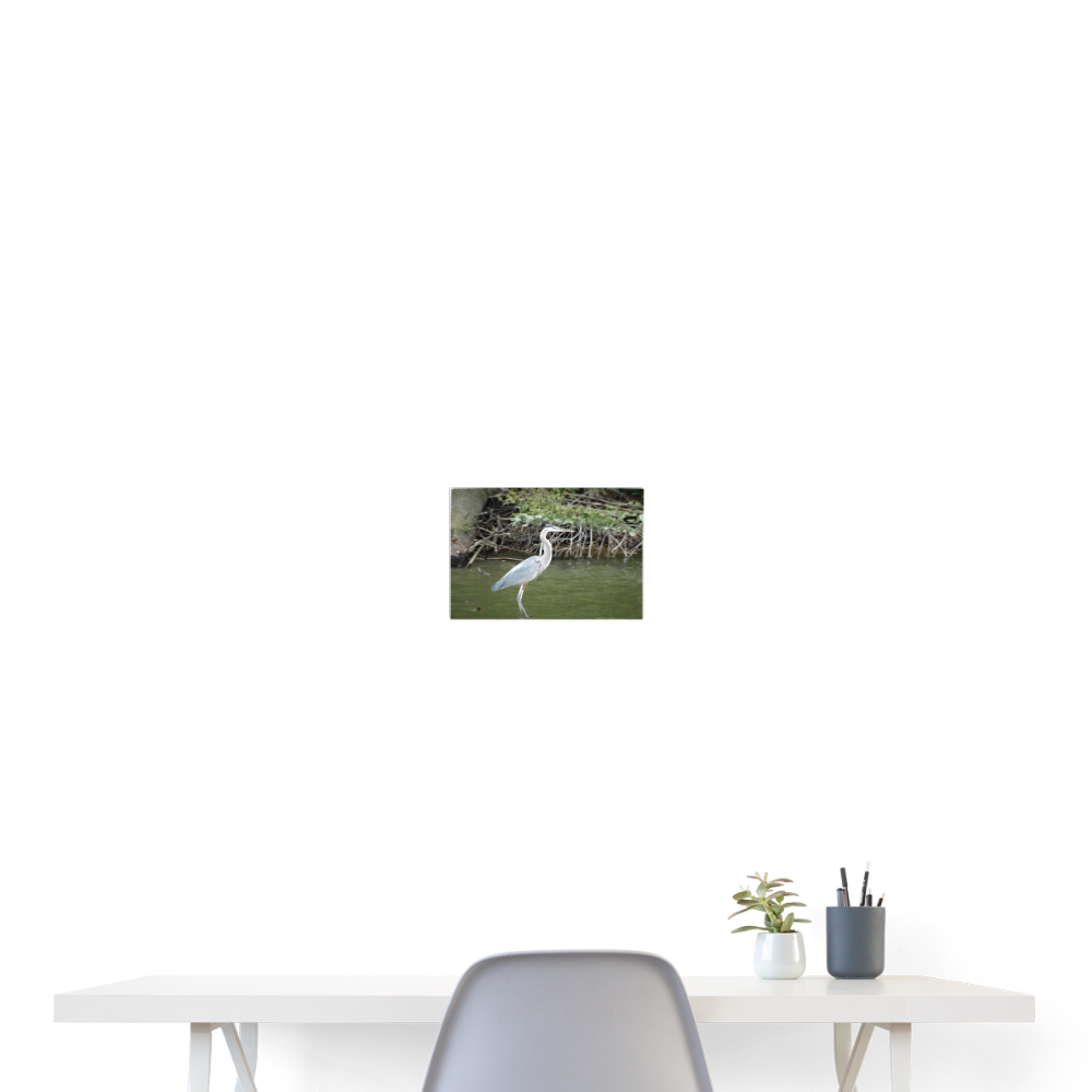Blue Heron 24x18 Print - white