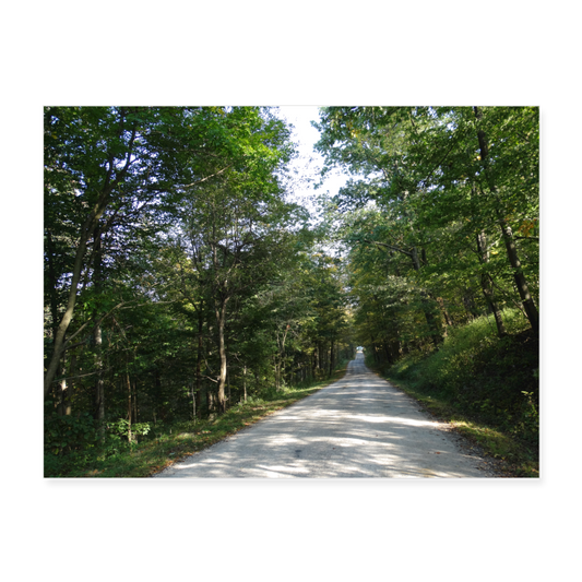 Farm Lane 24x18 Print - white