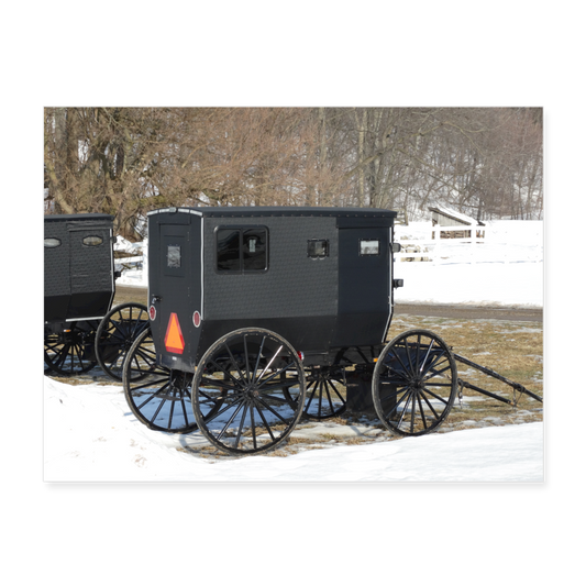 Amish Buggy 24x18 Print - white