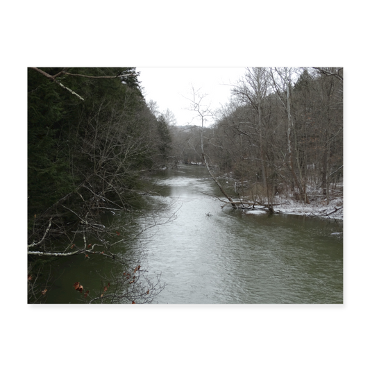 Down by the River 24x18 Print - white