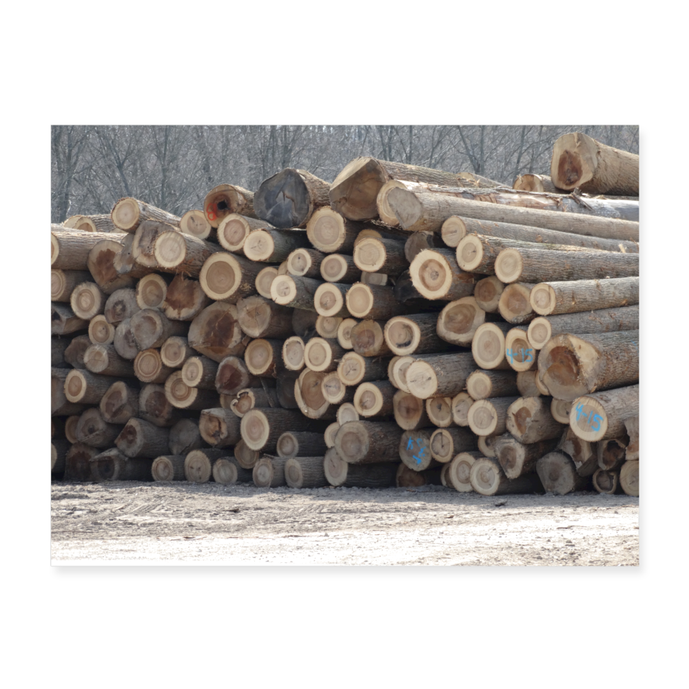Logging 24x18 Print - white