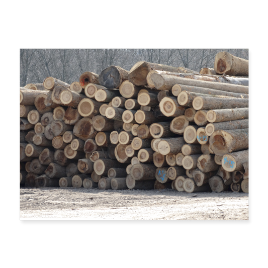 Logging 24x18 Print - white