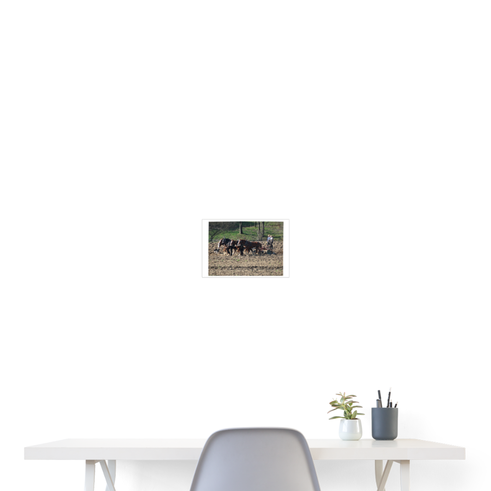 Amish Horses Plowing 24x18 Print - white