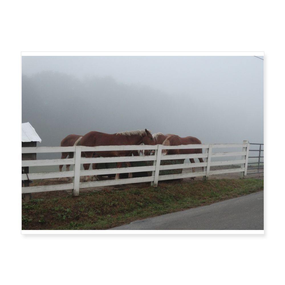 Draft Horses A1 24x18 Print - white