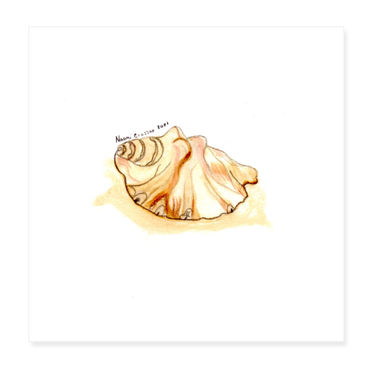 Shell 8x8 Print - white