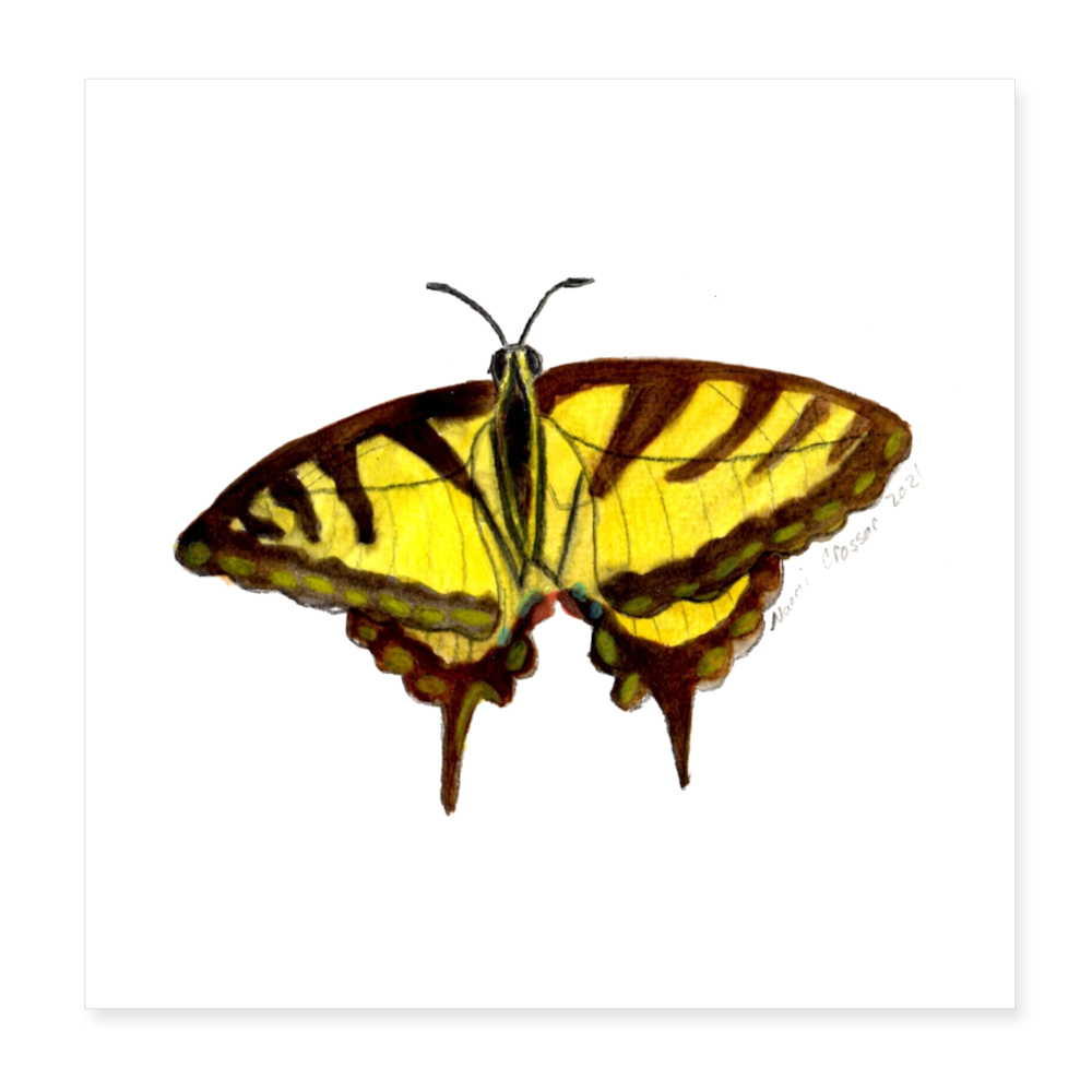 Butterfly 8x8 Print - white