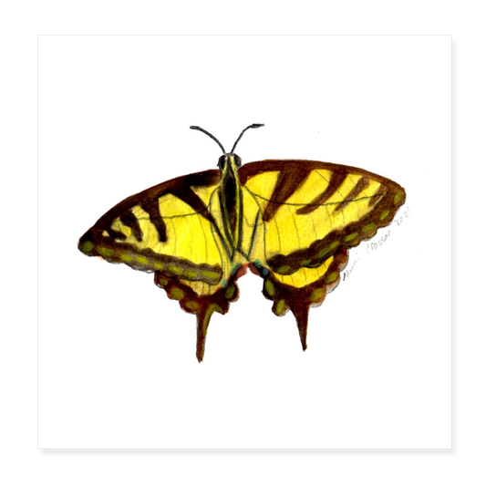 Butterfly 8x8 Print - white