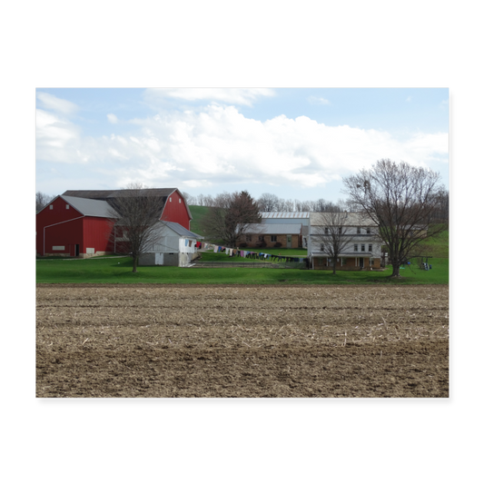 Amish Farm A1 24x18 - white