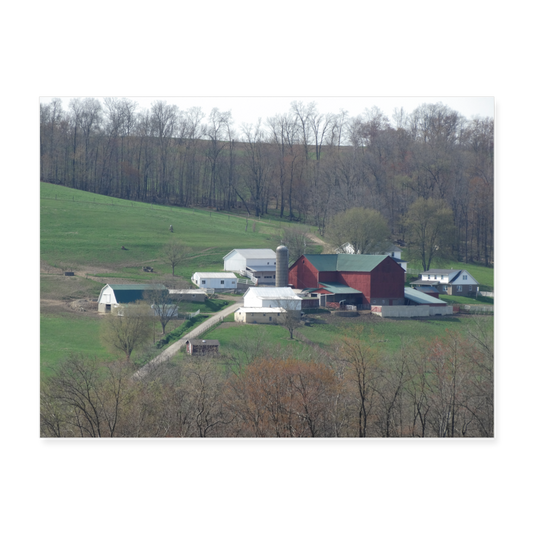 Amish Farm A2 24x18 Print - white