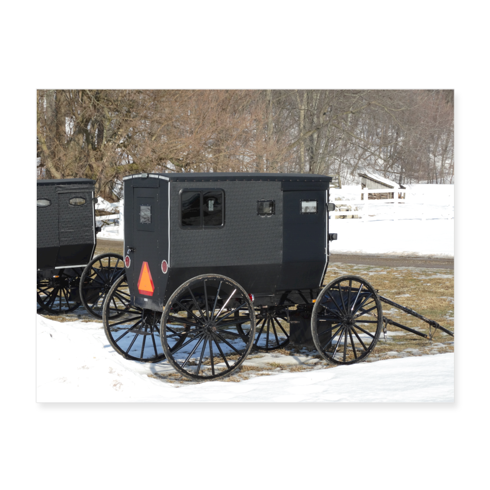 Amish Buggy 24x18 Print - white