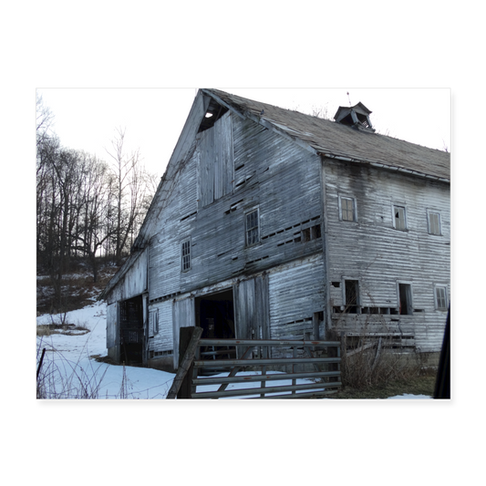 Amish Barn 24x18 Print - white
