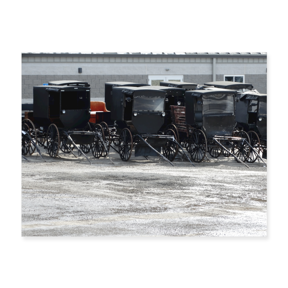 Amish Buggies 24x18 Print - white