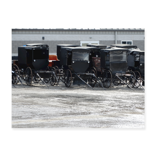 Amish Buggies 24x18 Print - white