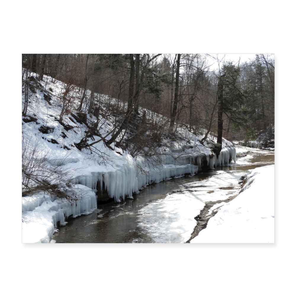 Creek in Winter 24x18 Print - white