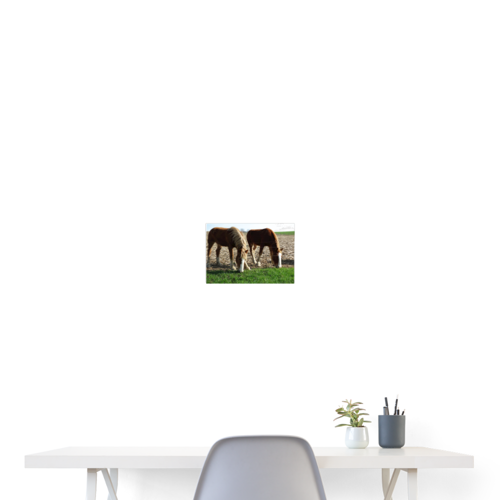 Draft Horses A2 24x18 Print - white